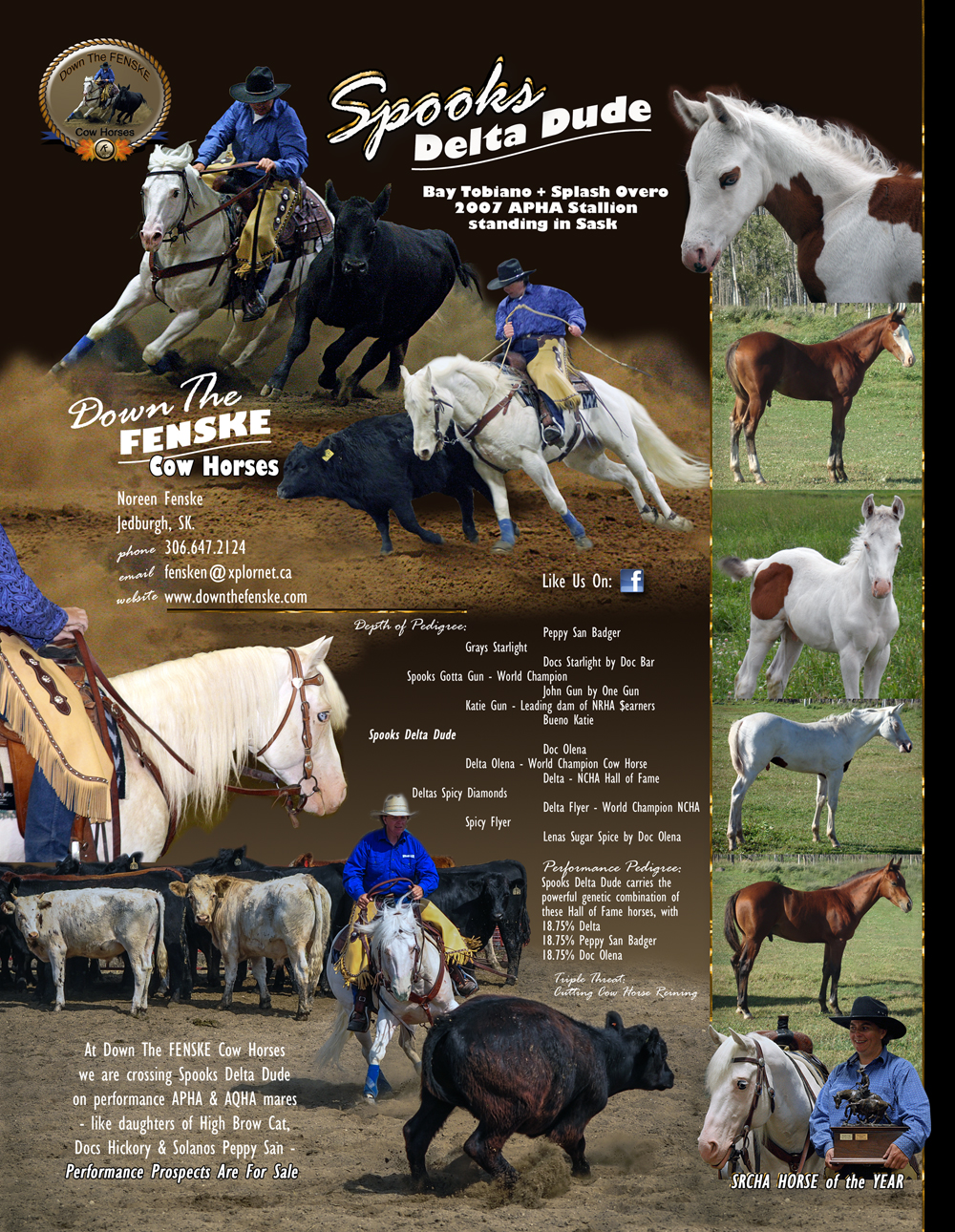 Spook's 2014/15 Stallion Promotion Flyer