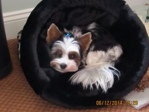 At home in her new girly cave with Irene
June 2014.