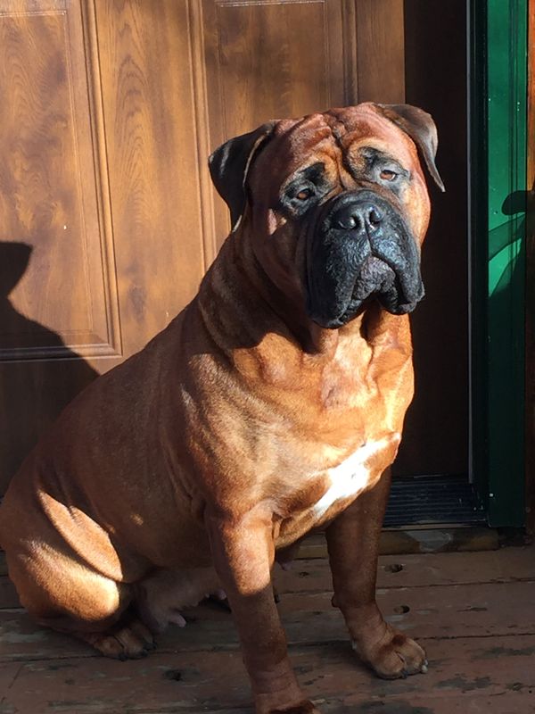 Morgan at 4 1/2 years