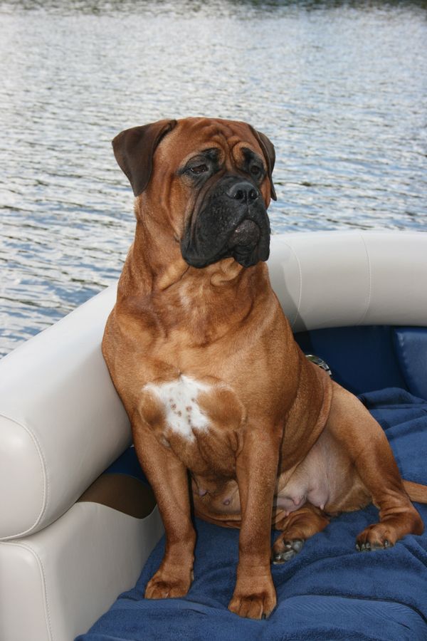 Morgan at 2 1/2 years