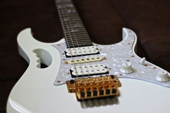 (02/11/14) This is an Ibanez JemVWH, Ibanez started making this model in 1993 and still makes it today. This one was made before 2003 because it still has a Ebony fretboard with the beautiful Tree of Life inlay, the body is Alder. It has DiMarzio Evolution pickups in all the positions, It has a 5-way selector. It has a Edge Tremolo bridge and groundbreaking Lion's Claw tremolo cavity, allowing pitches to be radically raised or lowered without obstruction. Just a stunning looking guitar and it plays as good as it looks.