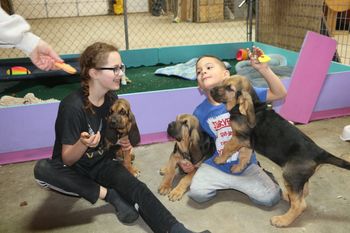 Pink, white and red ribbon males with our grandkids on Thanksgiving - enjoying special treats and loving! PINK AND WHITE RIBBONS AVAILABLE!