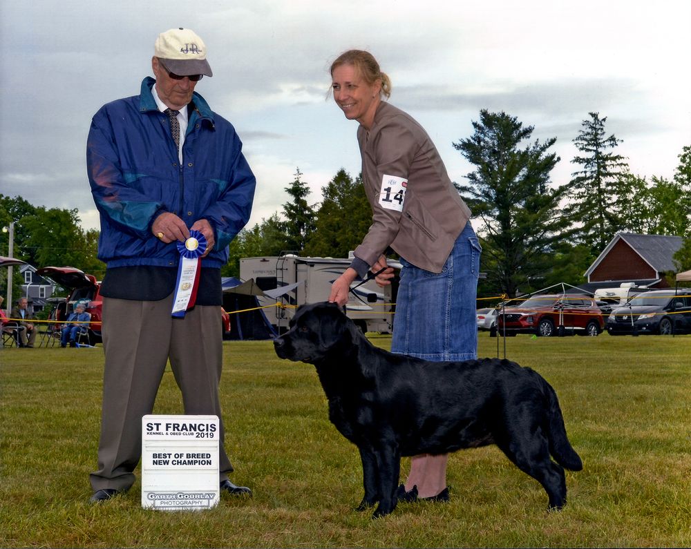 Reba gagne son Championnat sous le juge Brian Taylor !