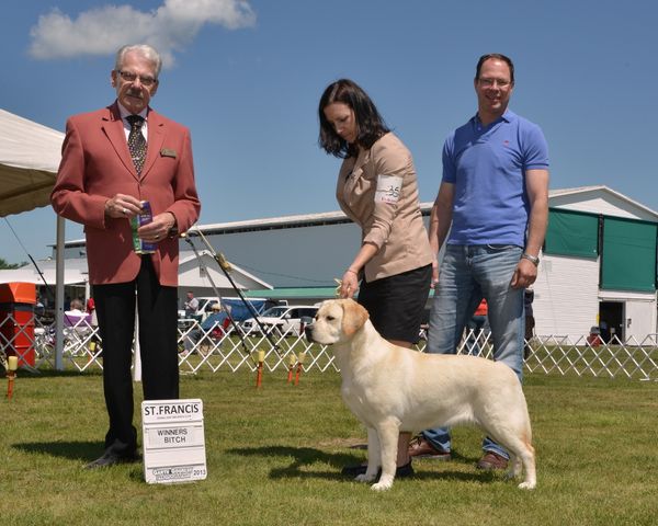 Le 15 juin 2013 au St-Francis Kennel & Obedience Club ,Dreamz gagne sa classe ,meilleur femelle et meilleur chiot pour (2) pts sous le juge Jack Ireland !
Le 29 juin 2014 à l'association canine de la Mauricie Inc. Booster de Labradors sous le juge Français Jean-Jacques Dupas , dreamz a fait meilleur Femelle,meilleur des gagnants et meilleur de la race pour 4pts !!!!