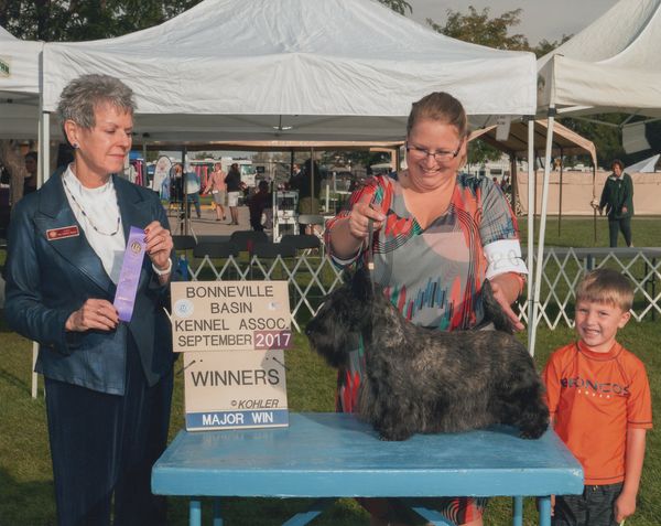 Henna winning her 1st major at the Utah all Terrier weekend.