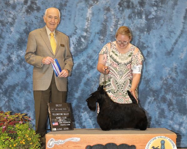 Memphis shown winning 1 of 3 majors in June in Montana.