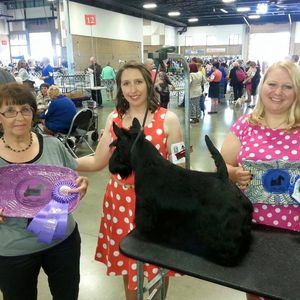 All 3 of Us - L to R - Larae, Krissy & Whitney. Pictured with Peabars Great Balls Of Fire "Erik" winning WD/BOW at the 2015 National Rotating Specialty!