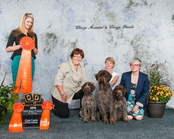 BBPIS Wally Wallander ArcandCiel ( 3 mois)
Margaux Kate ArcandCiel best puppy booster
Papa GCH Duvalin P Maestro UTIII