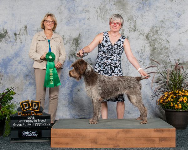 4 ème puppy group
Joséphine du barbu des Carpates NAI