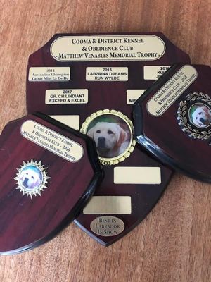 Wilbur and Walter's Trophies