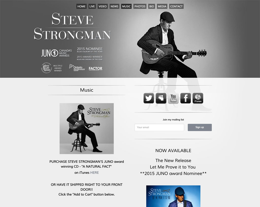 Steve Strongman website