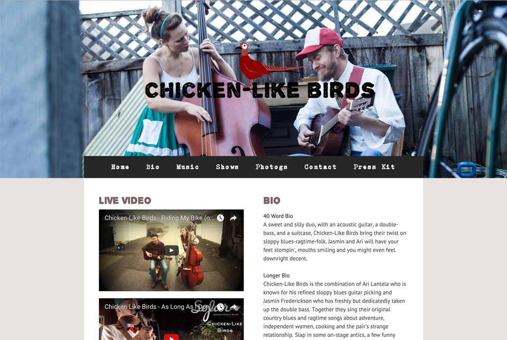 Chicken Like Birds Website template