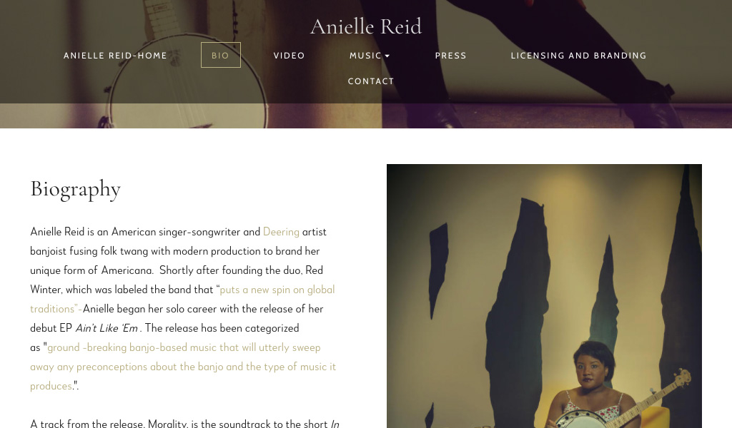 Website Design Inspiration: Best Folk Musician Websites