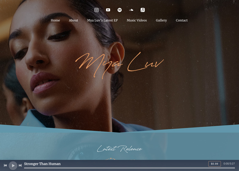 Best Band and Musician Websites | Bandzoogle Reviews and Examples