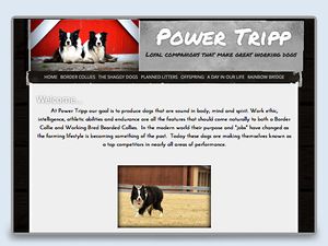 Power Tripp Border Collies