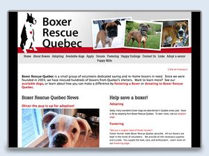 Boxer Rescue Quebec