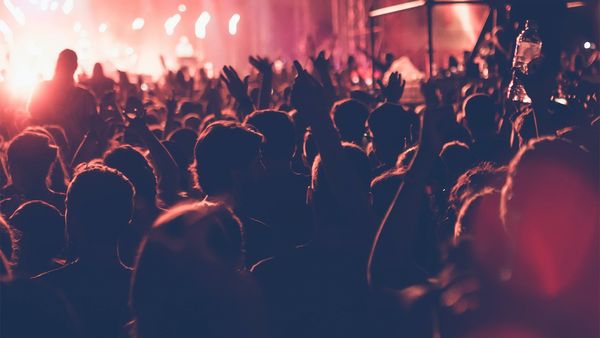 How to make a fan club and grow your audience