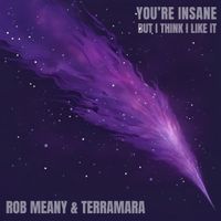 You're Insane but I Think I Like It by Rob Meany & Terramara