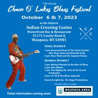 MICHAEL MURPHY & THE MOB AT THE CHAIN 'O LAKES BLUES FEST