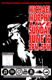 MICHAEL MURPHY SOLO AT THE HARBOR BAR & GRILL