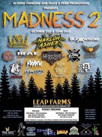 Madness 2