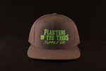 Planters Of The Trees Snapback Hat