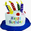 Personalized Happy Birthday Song and Message on Your Birthday!