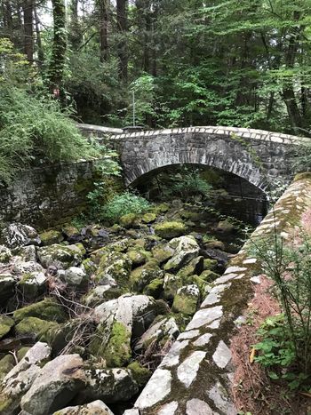 One of two historic stone bridges at the pond
