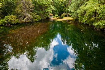 The pond!
