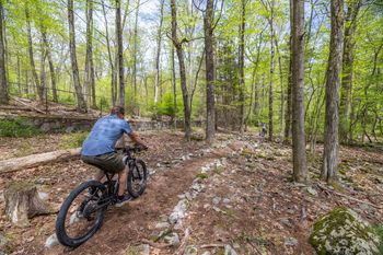Wilderness trails
