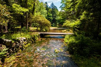 Rattle Snake Creek
