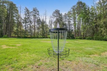 Disc golf course
