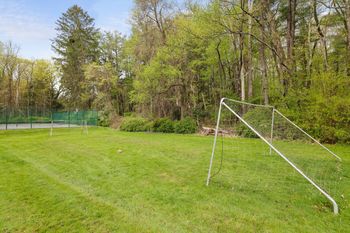 Soccer goals
