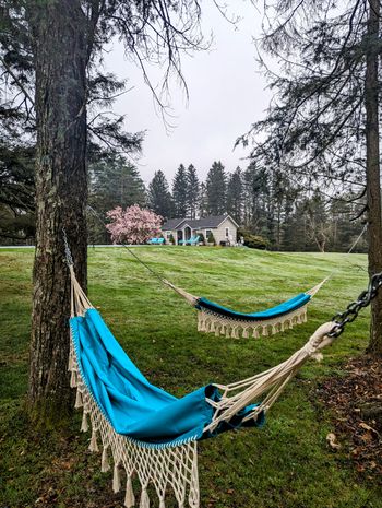 Relaxing time!
