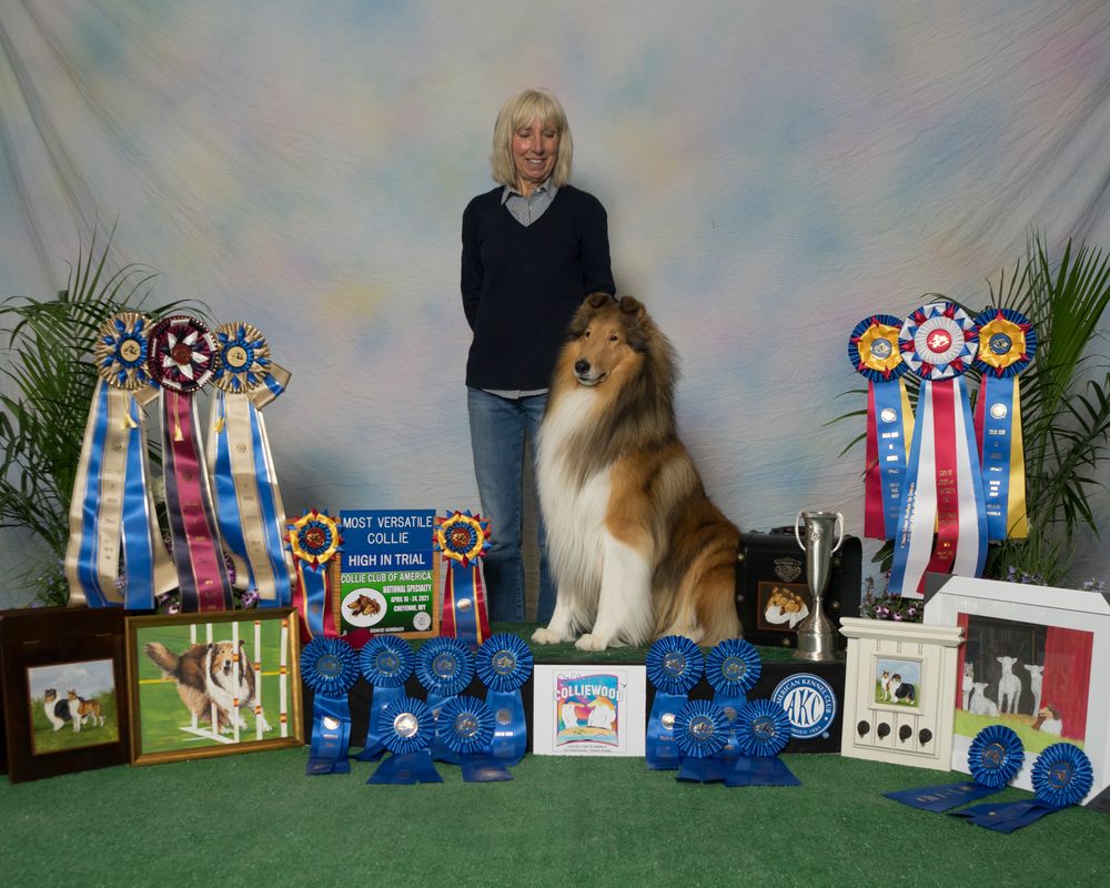 Collie club of deals america national 2019