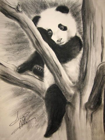 How To Draw A Realistic Baby Panda Step By Step
