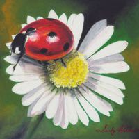 Ladybug