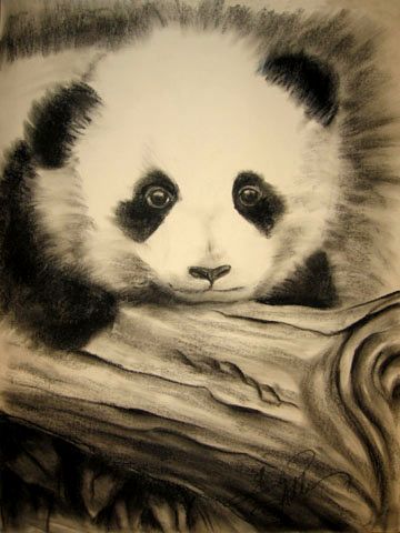 Dreamy Larme Kei Panda Drawing on White Background | MUSE AI
