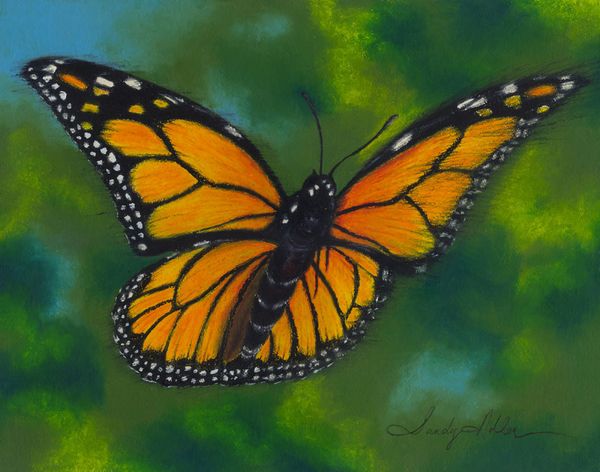 Monarch Butterfly Acrylic Painting