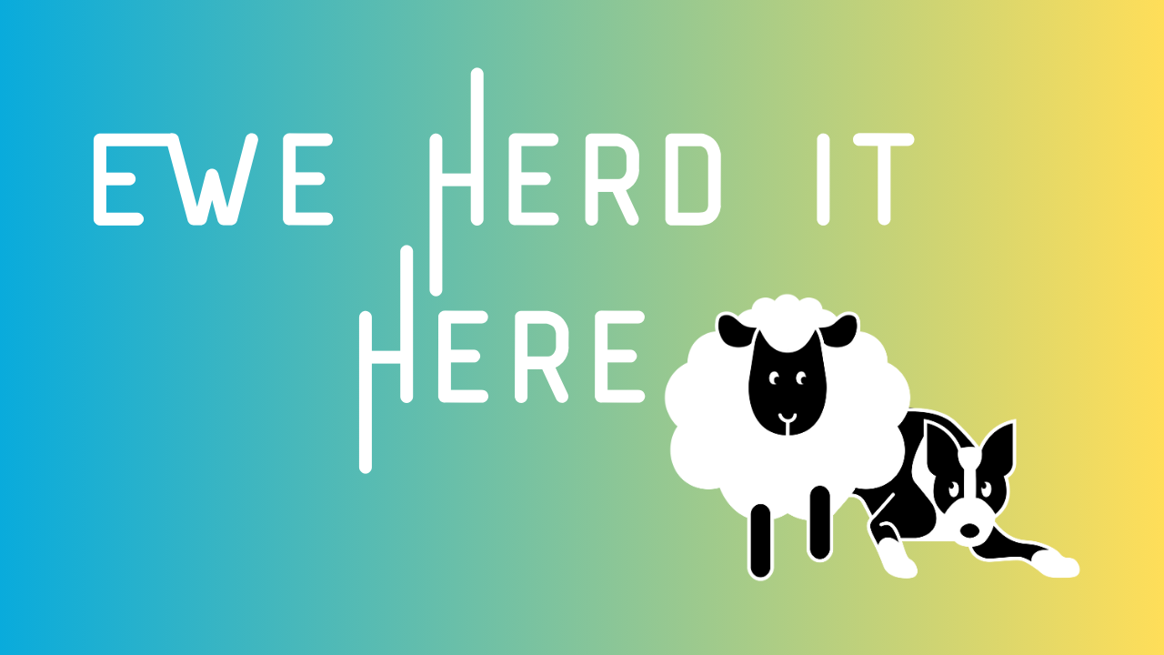Ewe Herd It Here blog graphic