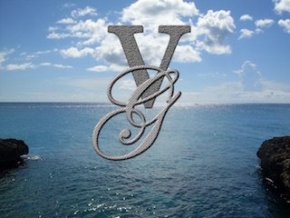 vintgray.com favicon