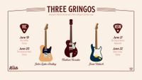 Three Gringos Tour