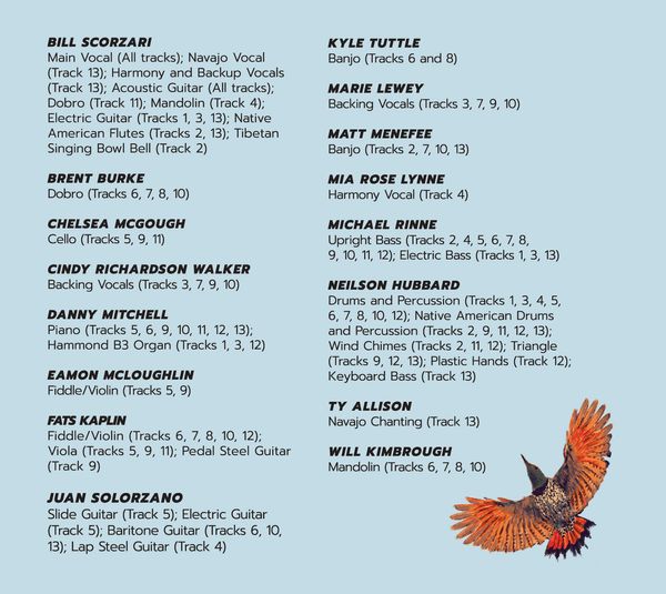 Birds of Prey: The Album Vinyl LP