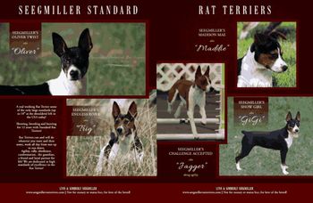 Showsite Sept Terrier Edition
