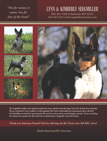 Clear creek best sale decker rat terriers