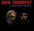 Medicated Spirits: CD