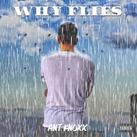 Why Flies by Ant Knoxx