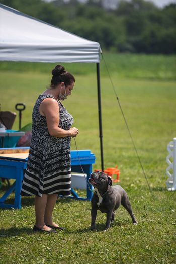 ABI Dog Shows - July 2021
