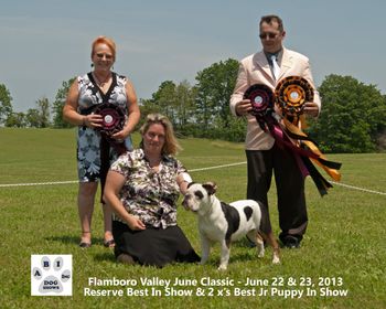 Nelli - 6 Months - ABI Dog Shows - Reserve Best in Show, 2X Best Puppy in Show
