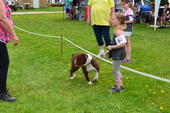 Junior Handling Competition
